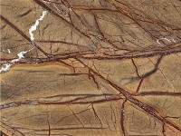 BIDASAR BROWN